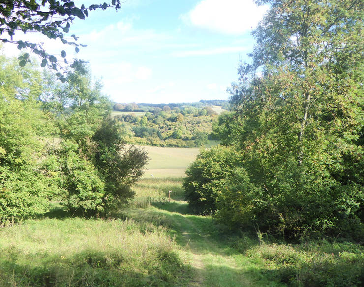 North Wessex Downs