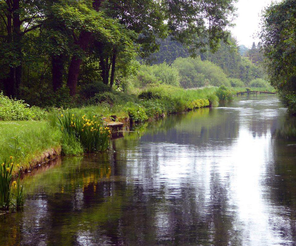 whitchurch-river-test-town-mill