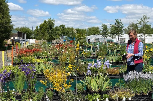 Hardy’s Cottage Garden Plants