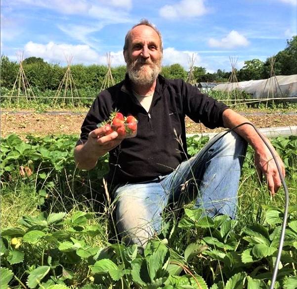 Harroway Organic Gardens