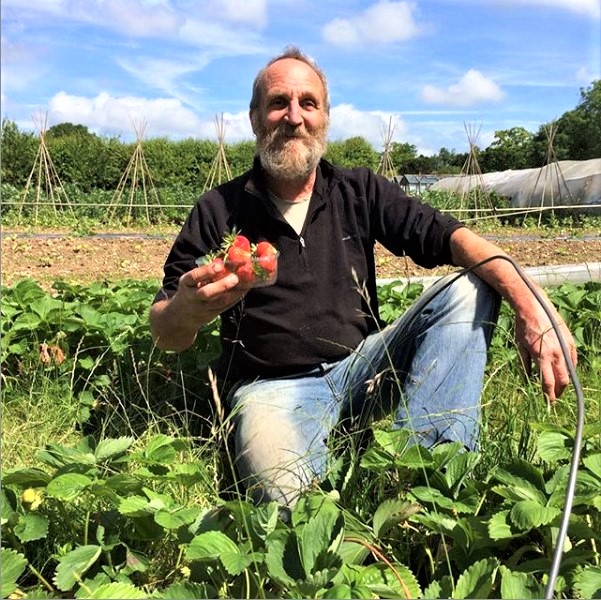 Harroway Organic Gardens