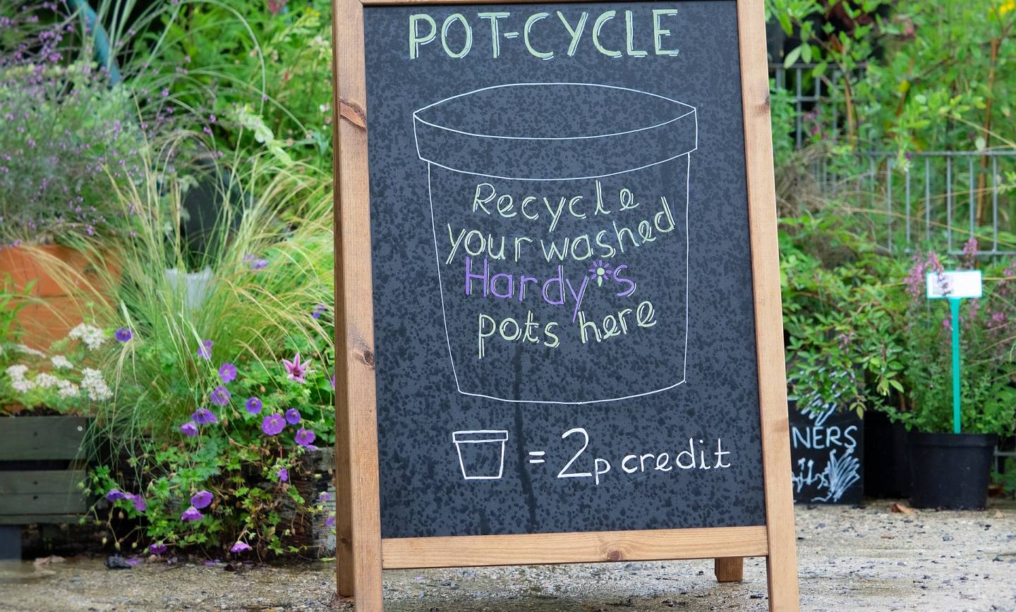 Going Green with the Hardy’s Team