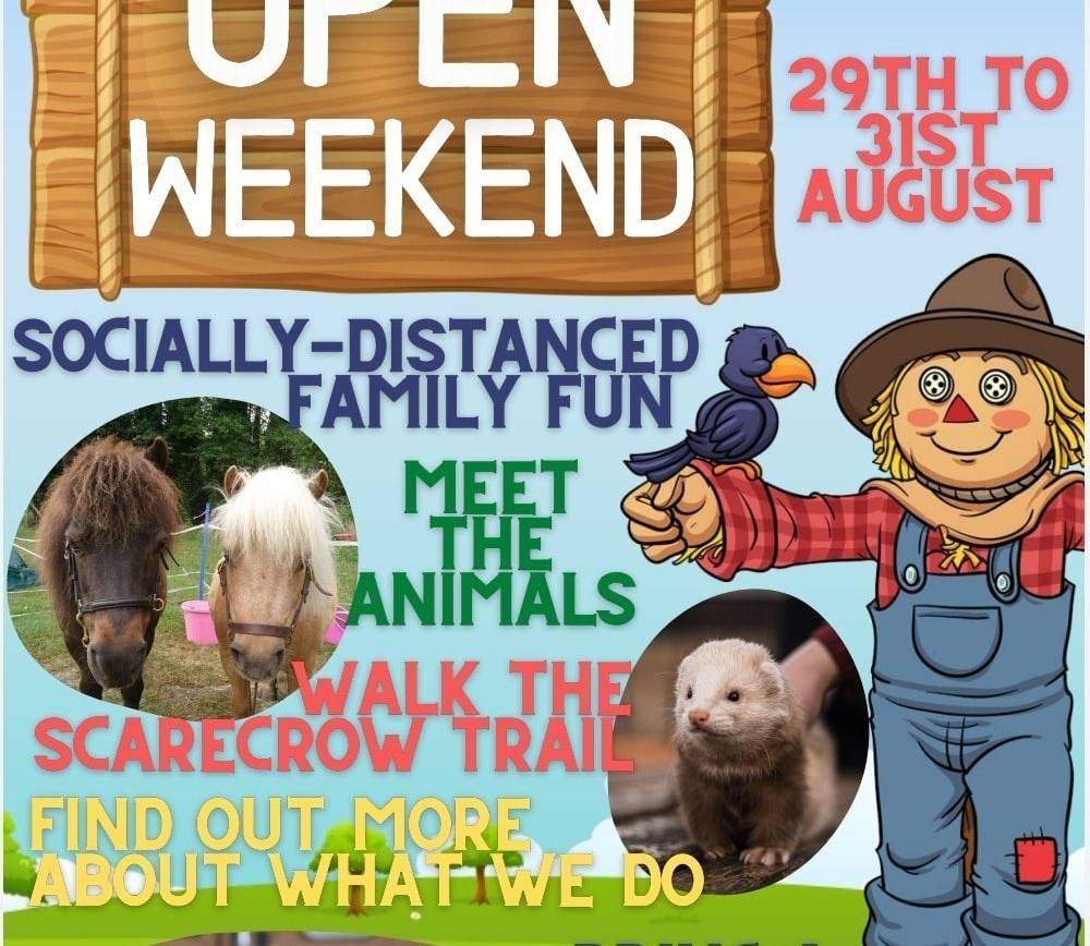 Furlock Holmes Open Weekend