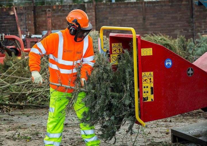 Christmas Tree Recycling Point