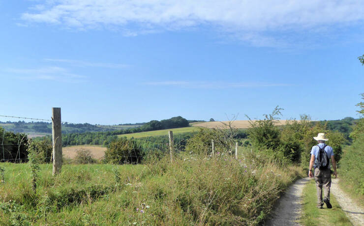 Along Ancient Trackways