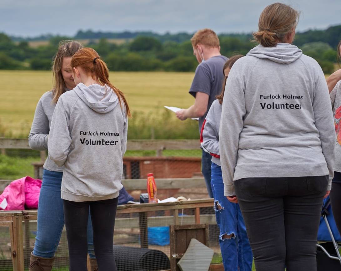Furlock Holmes Animal Care –     NEW YEAR, NEW YOU, NEW CHALLENGE?