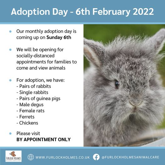 Furlock Holmes Animal Care Adoption Day