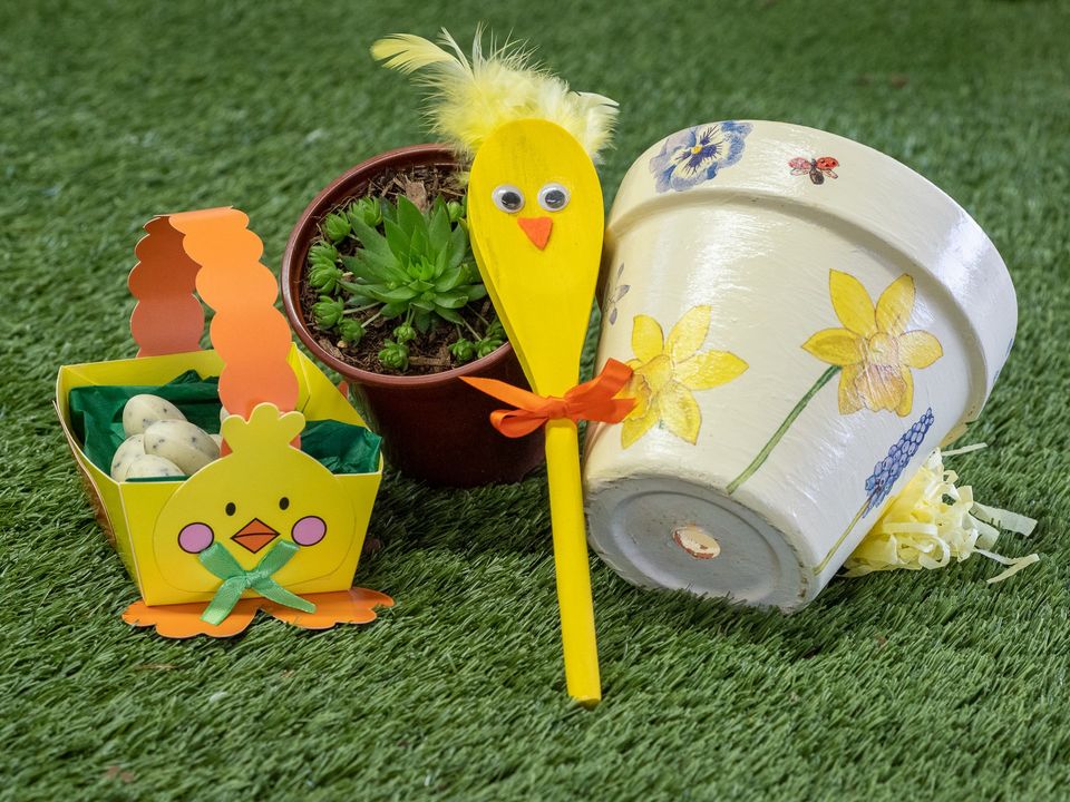 Easter Crafting and Potting Workshop for Kids – Hardy’s Nursery