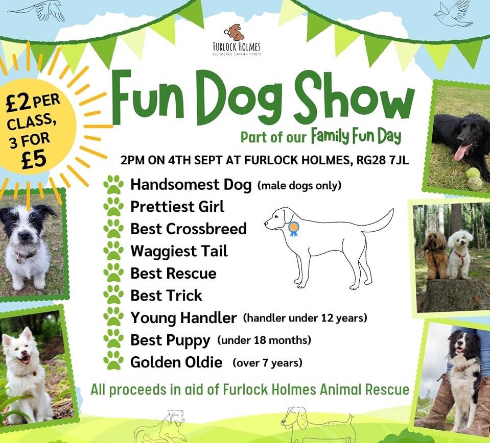 Furlock Holmes Animal Rescue Fun Dog Show – Part of the Family Fun Day