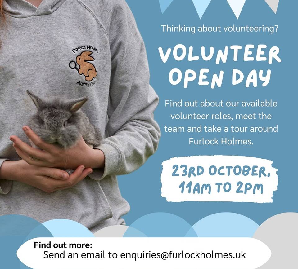 Furlock Holmes Animal Care – Volunteer Open Day