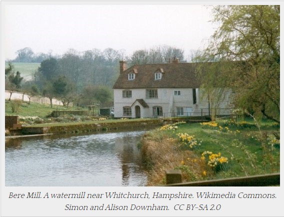 Bere Mill Gardens – National Garden Scheme Open Day