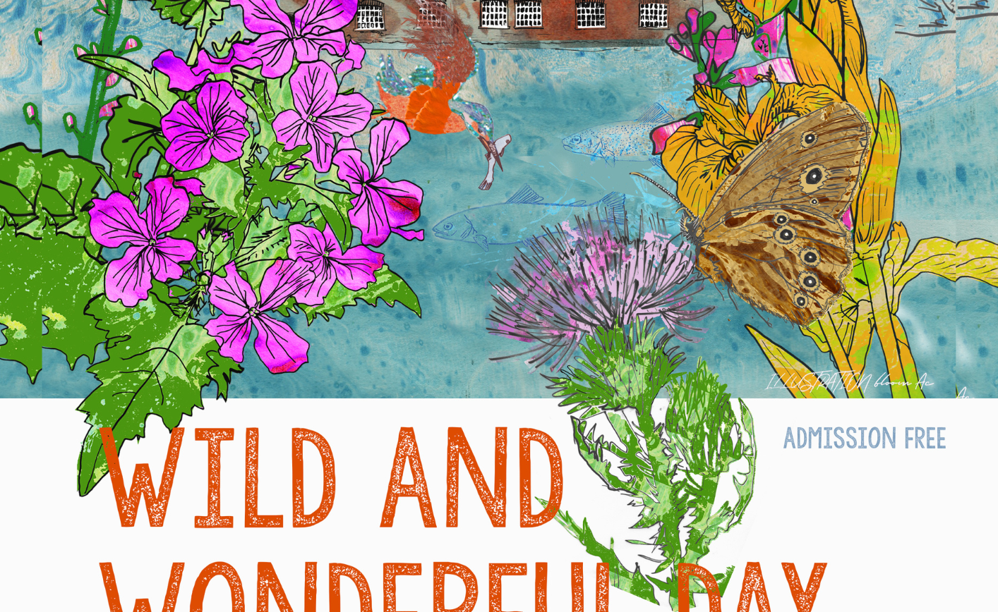 Wild & Wonderful Day