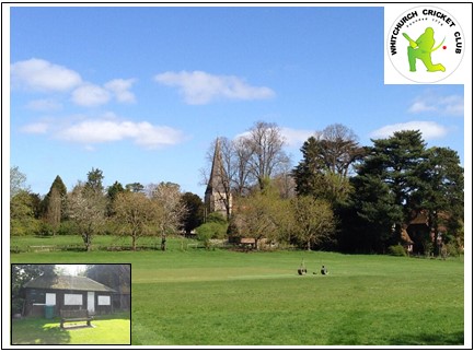 Celebrating 100 Years of Cricket at Parsonage Meadow – Sunday 25th June