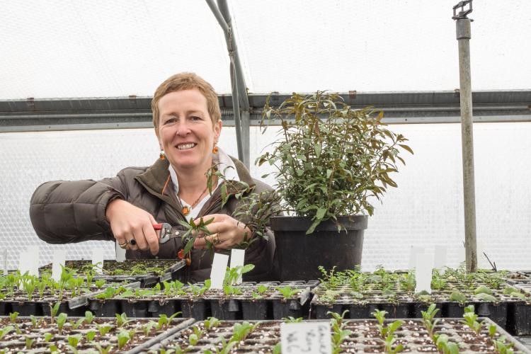 Spring Propagation Workshop with Rosy Hardy