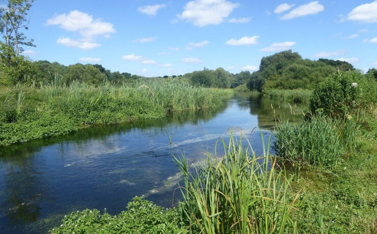 Chalk Streams and Meadows