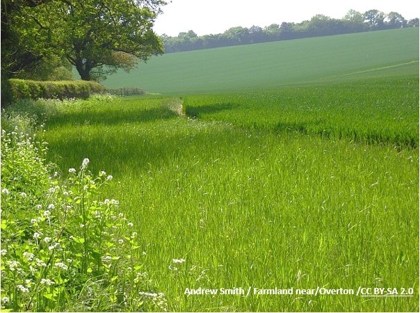 Test Valley Men’s Shed – 23 Mile Fundraising Walk