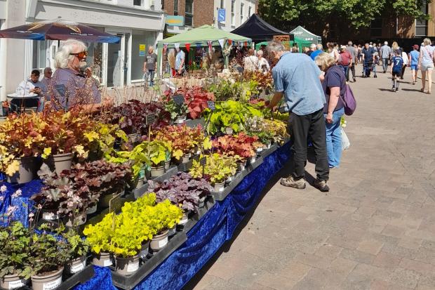 Andover Gardening Fair – Fun For All The Family – 19th May