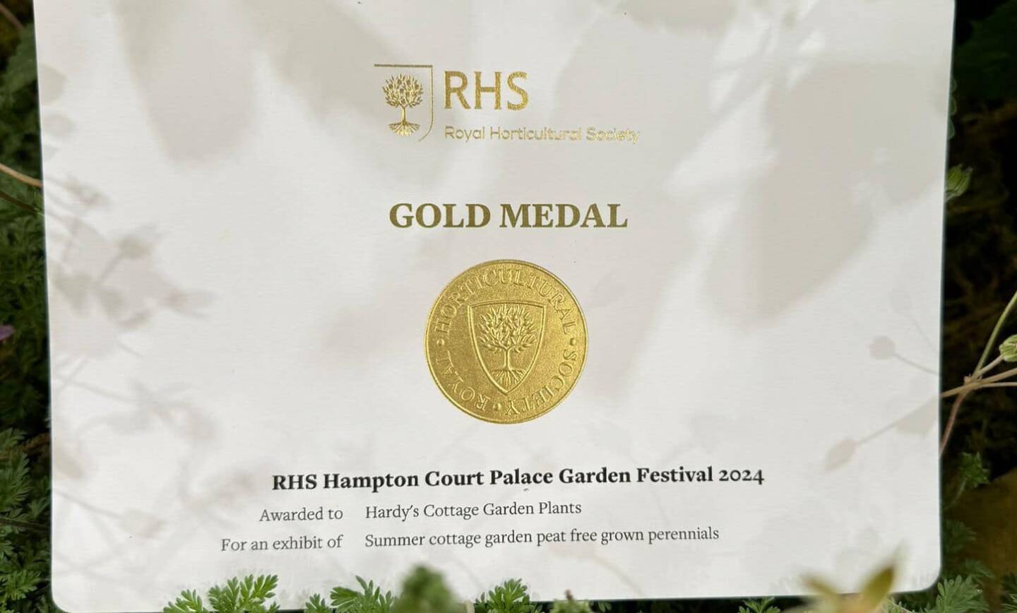 Hardy’s Cottage Garden Plants Win Gold at Hampton Court Palace Garden Festival!