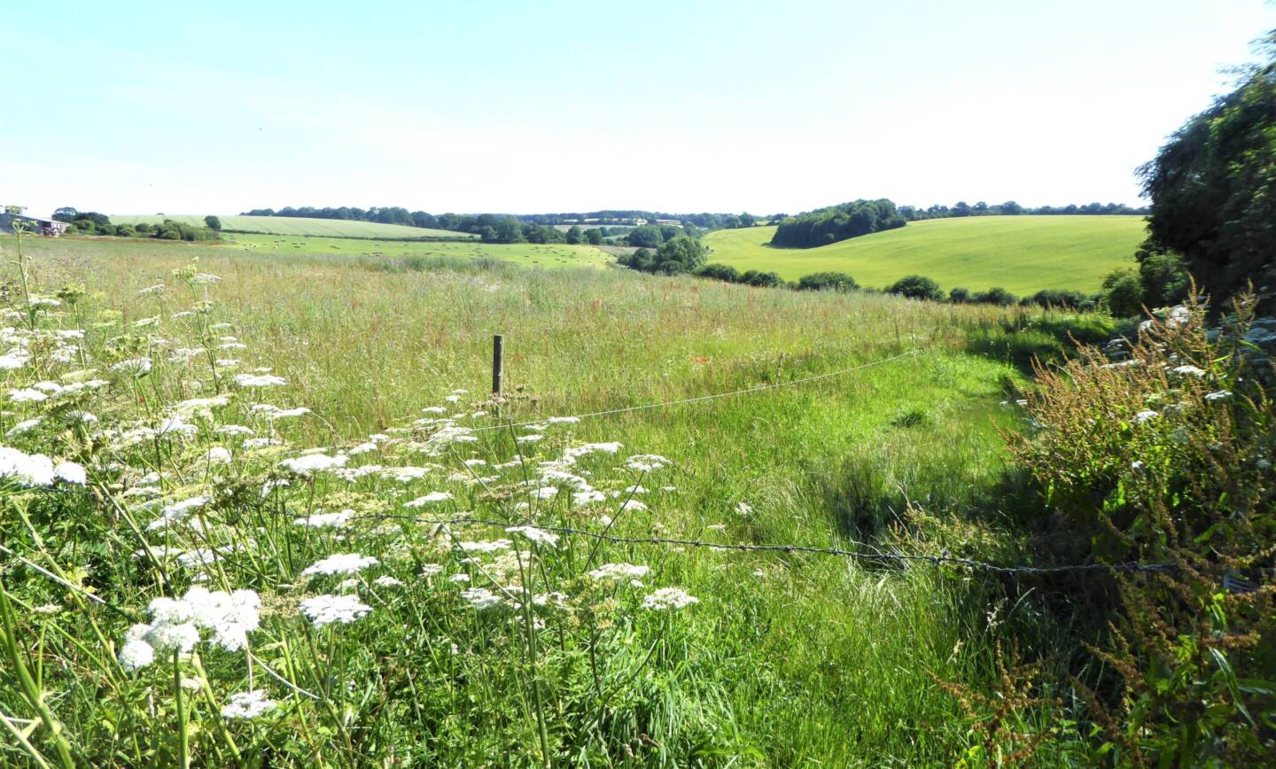 Monday Evening Ramble Along the Harroway to Wells-in-the-Field
