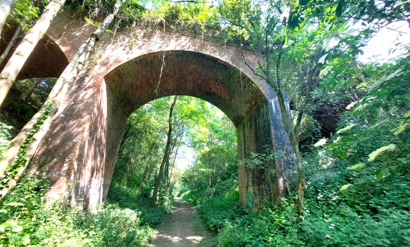 New Path Opened Following Successful 8 Year Campaign