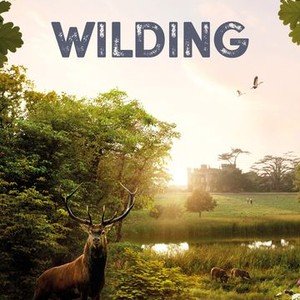 Movies at the Parish Hall – Wilding