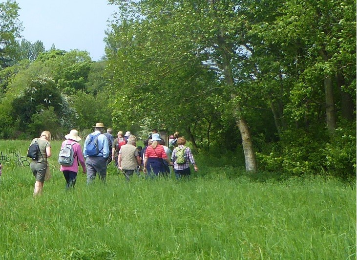 Whitchurch Rambling Club 2025 Programme Out Now