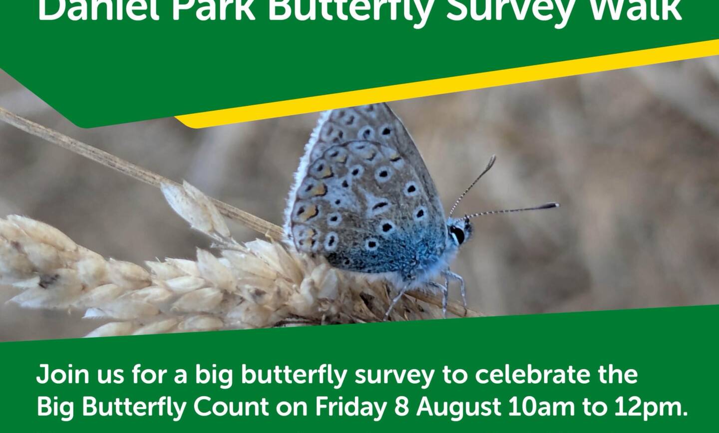 Daniel Park Butterfly Survey Walk