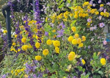 Hardy’s Nursery Behind the Scene Tour