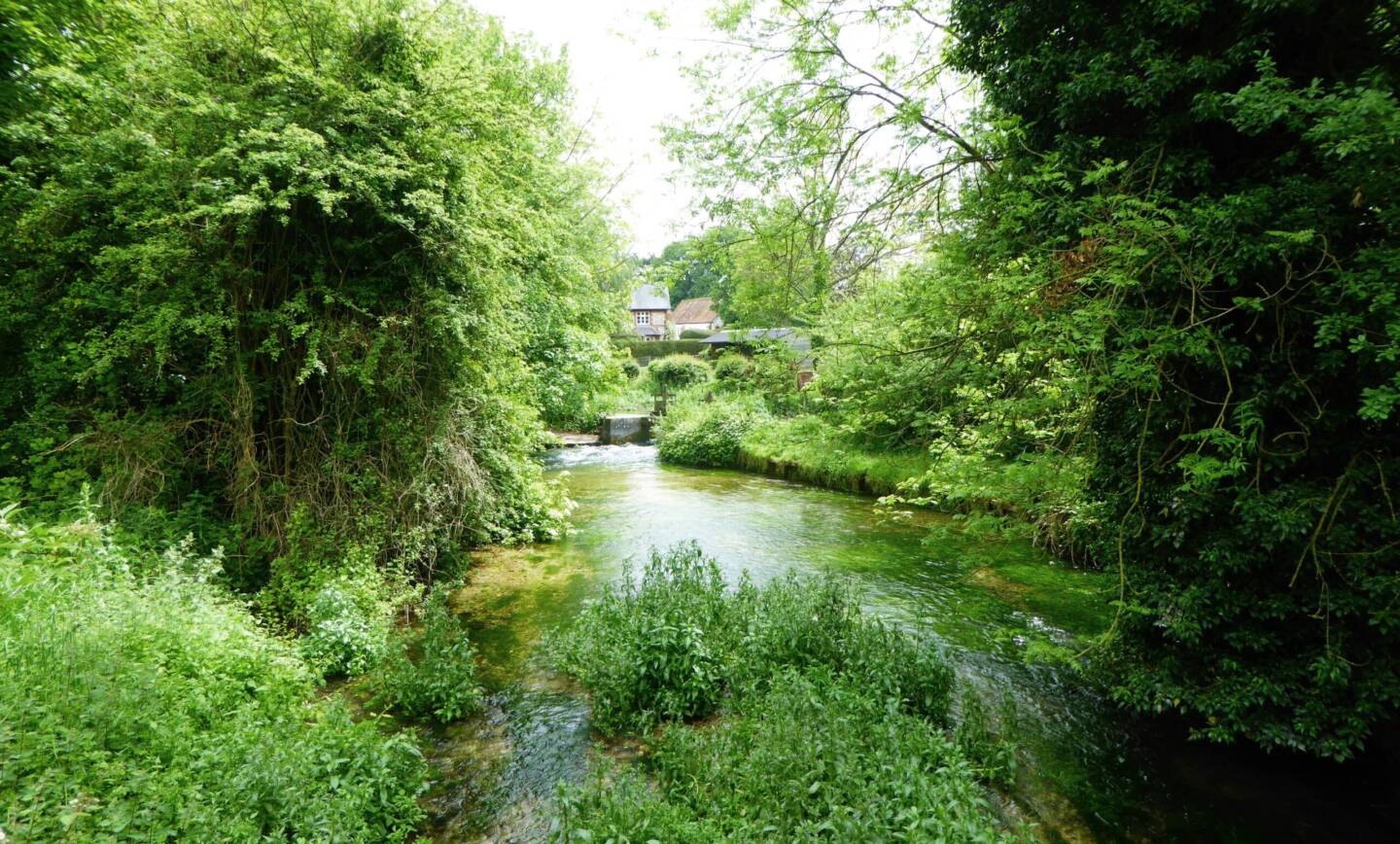 Whitchurch Rambling Club – Evening Ramble Along the Mill Trail to Freefolk